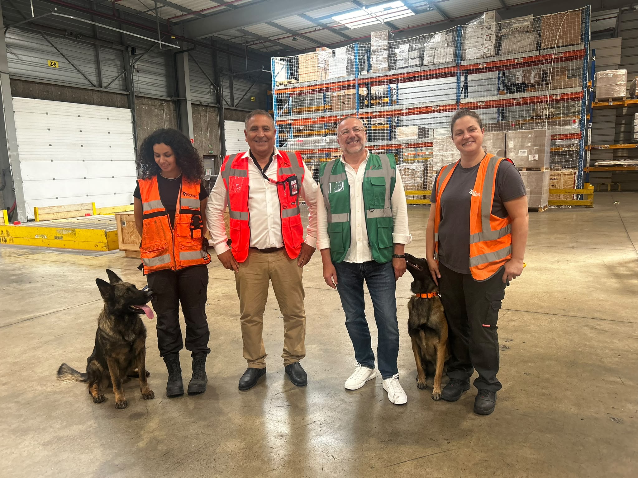 Chiens de douane